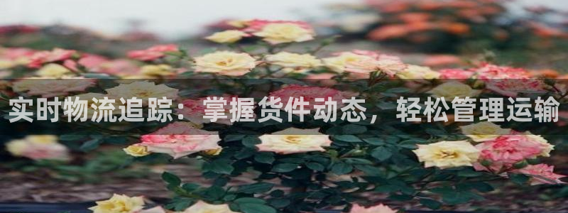 28圈黑款：实时物流追踪：掌握货件动