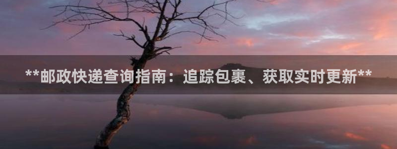 28圈的平台：**邮政快递查询指南：