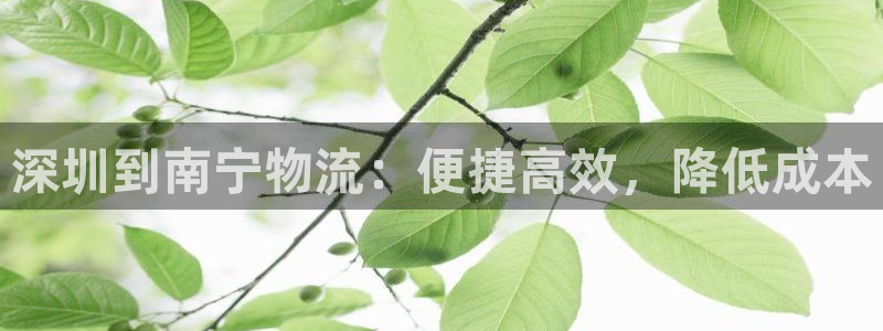 28圈链接来一个：深圳到南宁物流：便