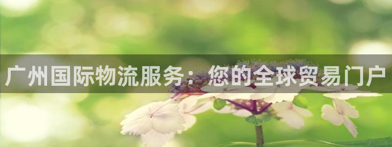 28圈圈：广州国际物流服务：您的全球