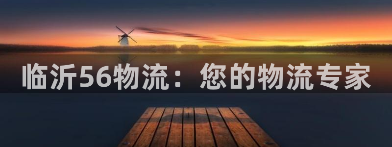 28圈怎么注册：临沂56物流：您的物