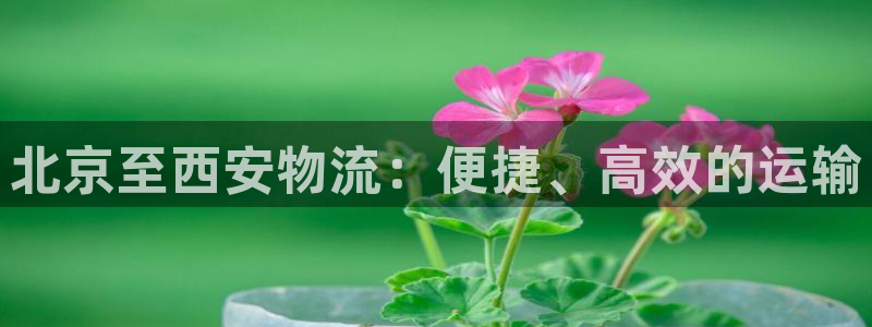 28圈反水
