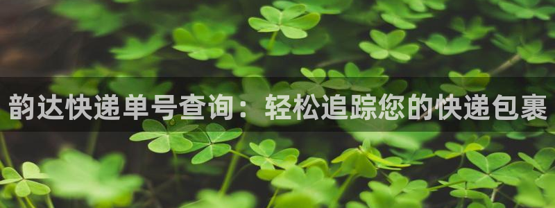 28圈犯法吗：韵达快递单号查询：轻松