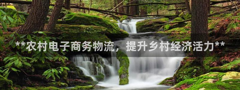 28圈p扣除是什么意思：**农村电子
