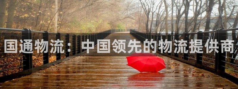 28圈官网网站：国通物流：中国领先的