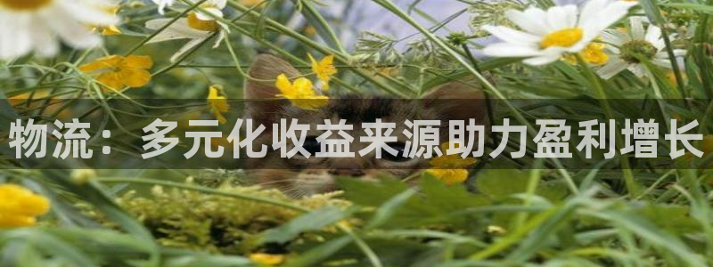 28圈官方网站是多少