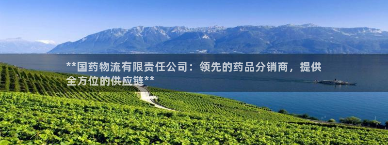 28圈注册登录流程：**国药物流有限