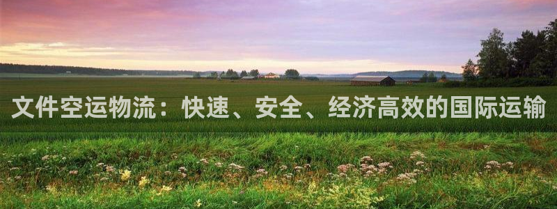 28圈app怎么注册账号：文件空运物