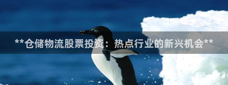 加拿大28圈是什么：**仓储物流股票