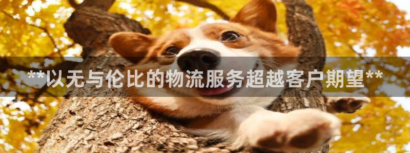 28圈注册流程：**以无与伦比的物流