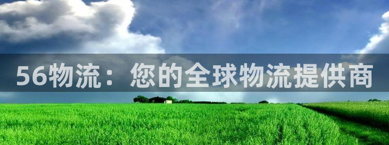 28圈加拿大怎么玩：56物流：您的全