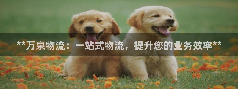 28圈麻将胡了在线试玩：**万泉物流