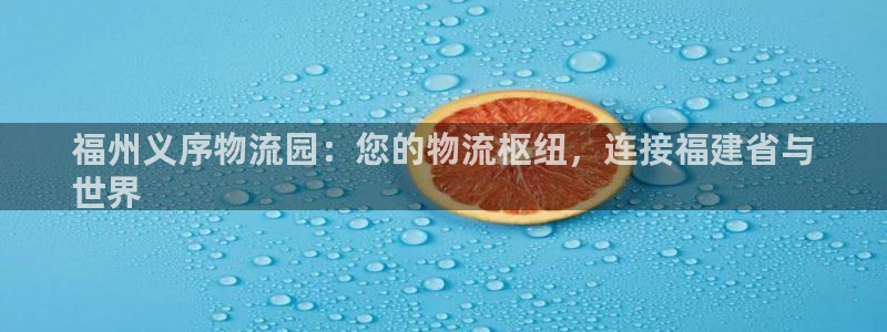 28圈官网多少