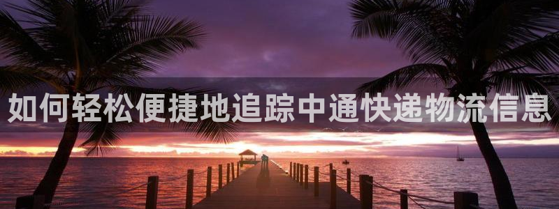 28圈可以退款吗：如何轻松便捷地追踪