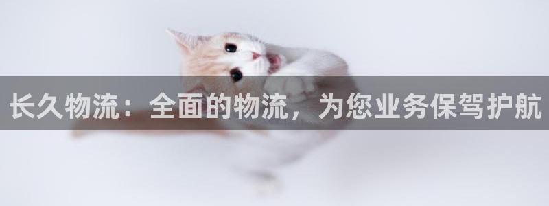 28圈麻将胡了：长久物流：全面的物流