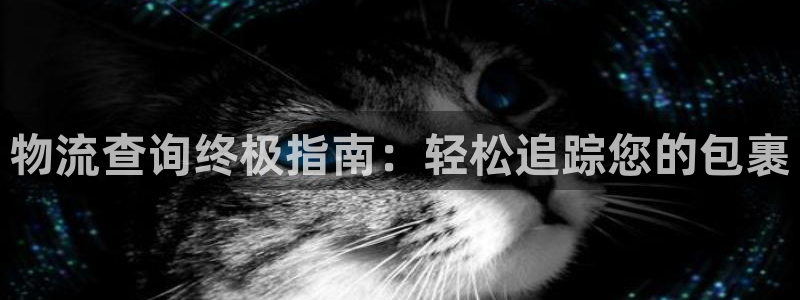 28圈怎么下载教程：物流查询终极指南