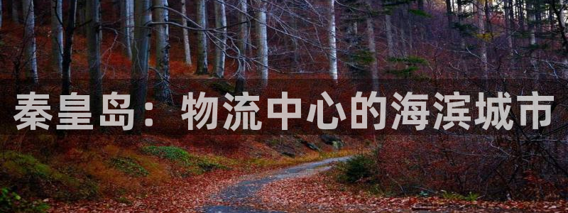 28圈代理落网：秦皇岛：物流中心的海