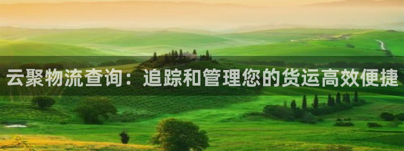 28圈v6能卖多少