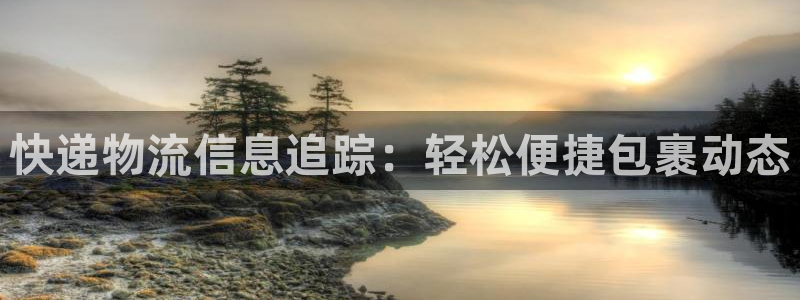 28圈注册网站谁有：快递物流信息追踪