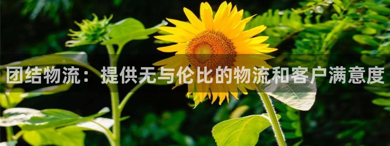 28圈黑不黑