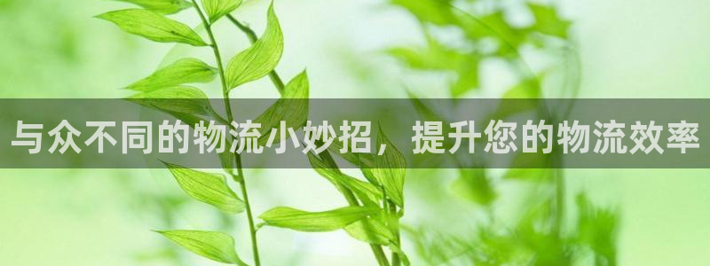 南宫28圈怎么注册：与众不同的物流小