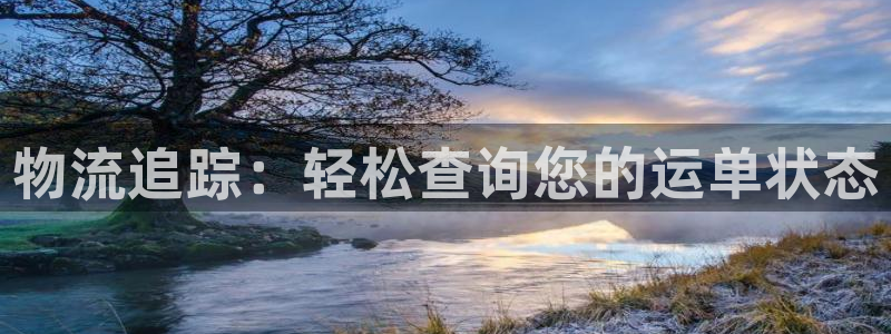 28圈预测加拿大：物流追踪：轻松查询