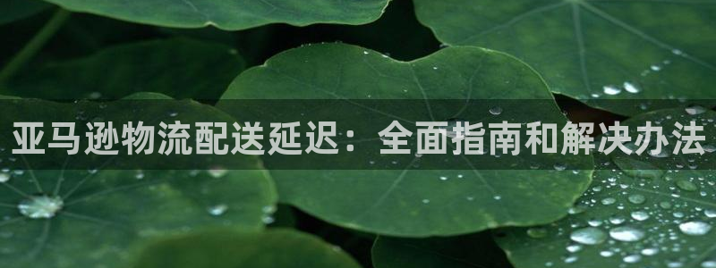 28圈官方网站：亚马逊物流配送延迟：