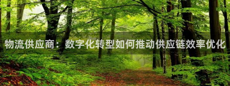 28圈加拿大怎么玩