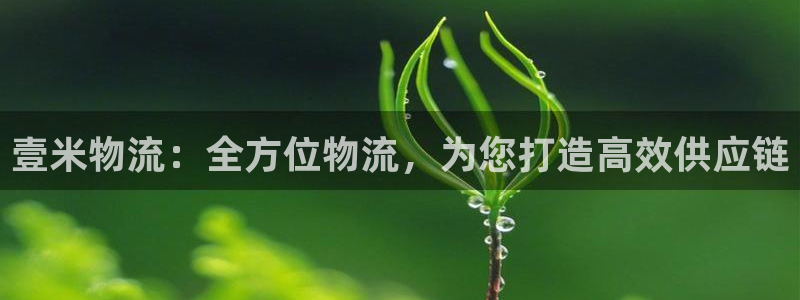 28圈返水怎么算的