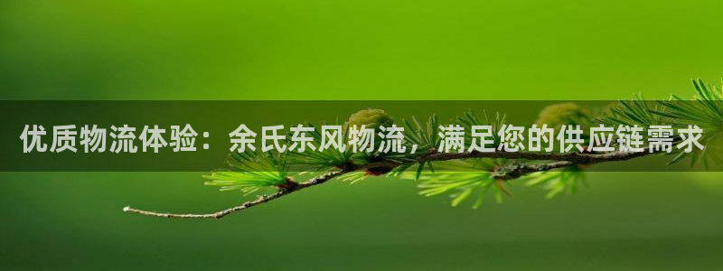 28圈游戏官网平台：优质物流体验：余