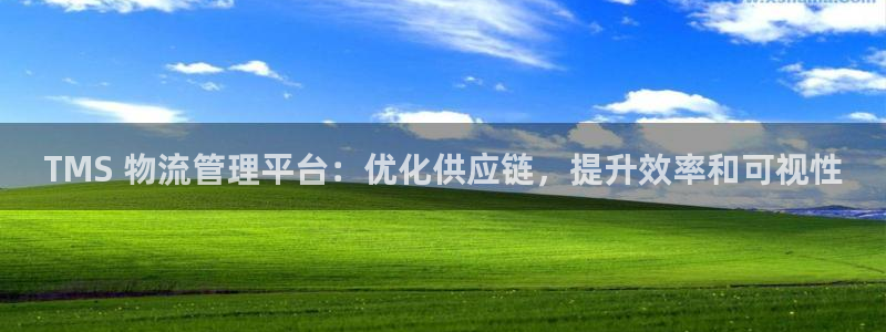 28圈p图上分下款通道：TMS 物流