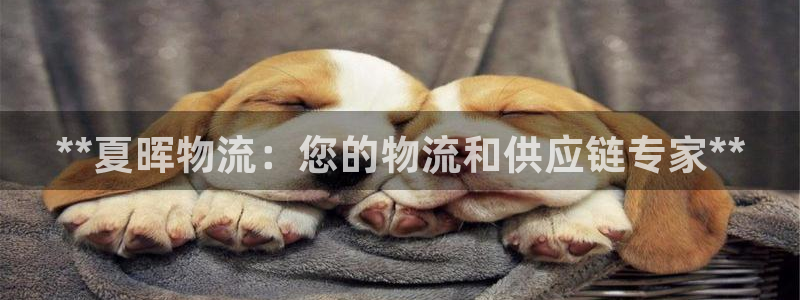 28圈登录网：**夏晖物流：您的物流