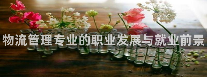 28圈旗下：物流管理专业的职业发展与