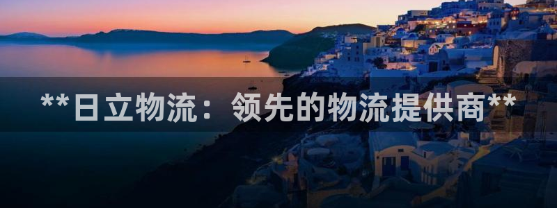 28圈.ccm正版：**日立物流：领