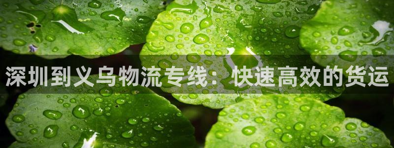 28圈注册限制怎么解除：深圳到义乌物