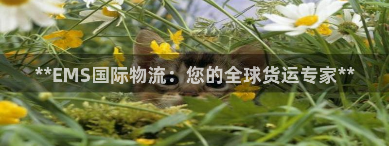 麻将128圈：**EMS国际物流：您
