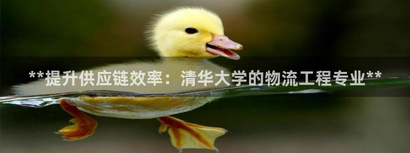 28圈注册网站链接怎么弄：**提升供