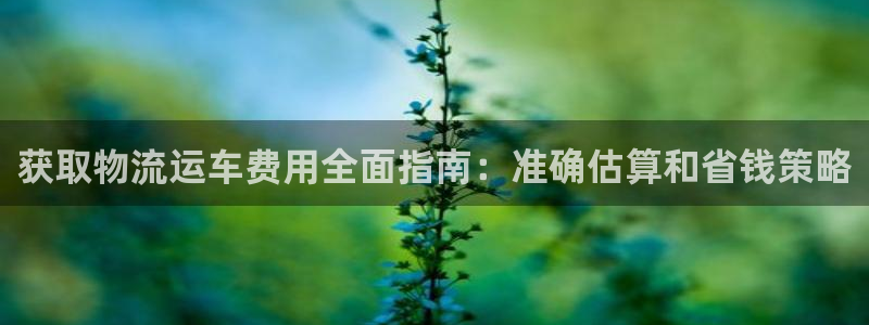 28圈怎么注册游戏名字：获取物流运车