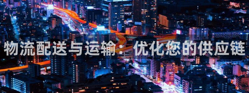 28圈官方版网站：物流配送与运输：优