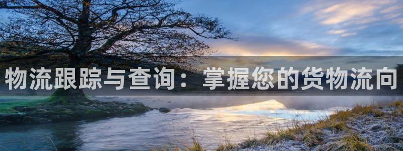 28圈选28ng官网：物流跟踪与查询