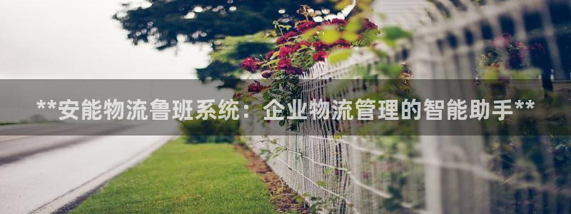 28圈大舞台