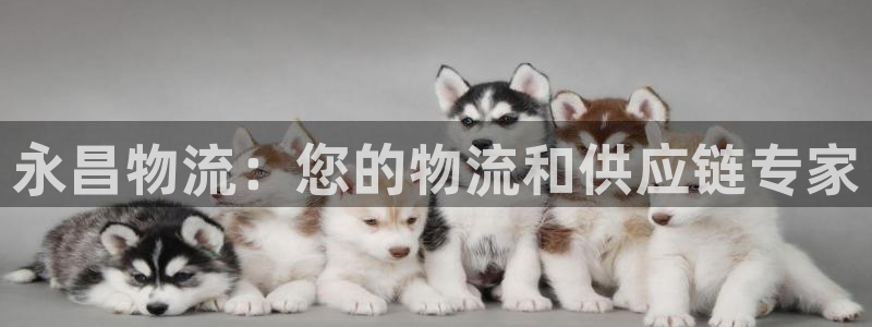 28圈口内径是多大：永昌物流：您的物