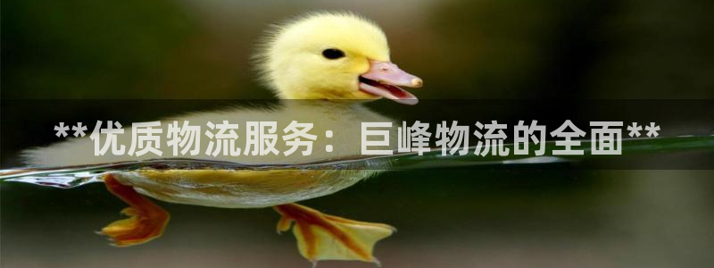 28圈注册网站链接是什么：**优质物