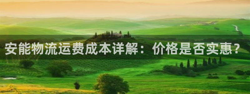 28圈注册网页：安能物流运费成本详解