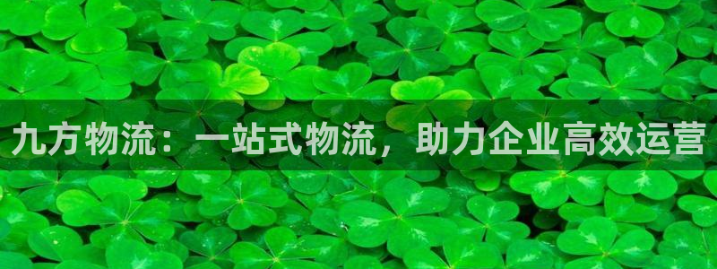 28圈.ccmpc预测
