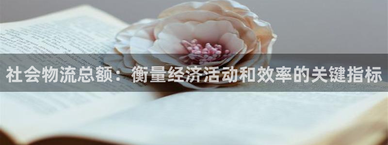 28圈体育下载
