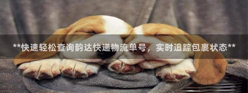 28圈如何看计划