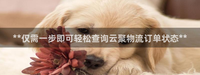 28圈如何退款
