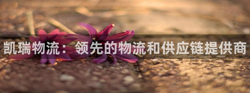 28圈网站怎么注册：凯瑞物流：领先的