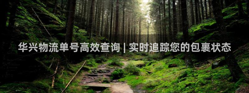 28圈链接